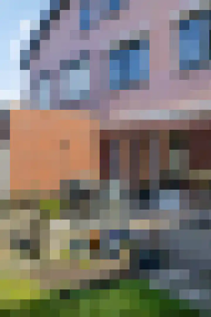 Schaapsweg 31 Ede thumbnail 51