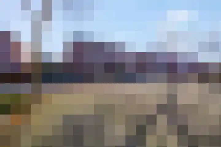 Schaapsweg 31 Ede thumbnail 58