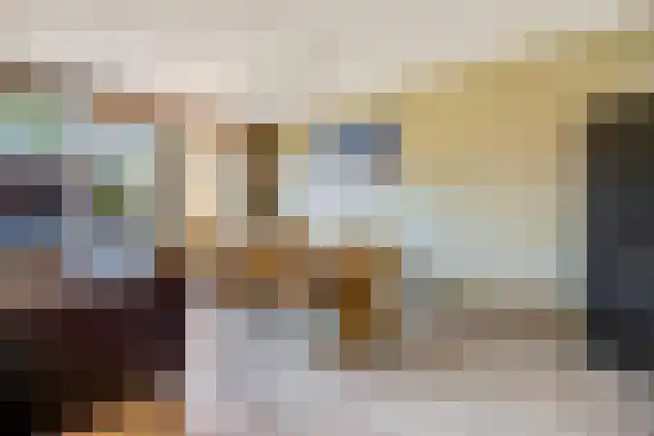 Schaapsweg 31 Ede thumbnail 6