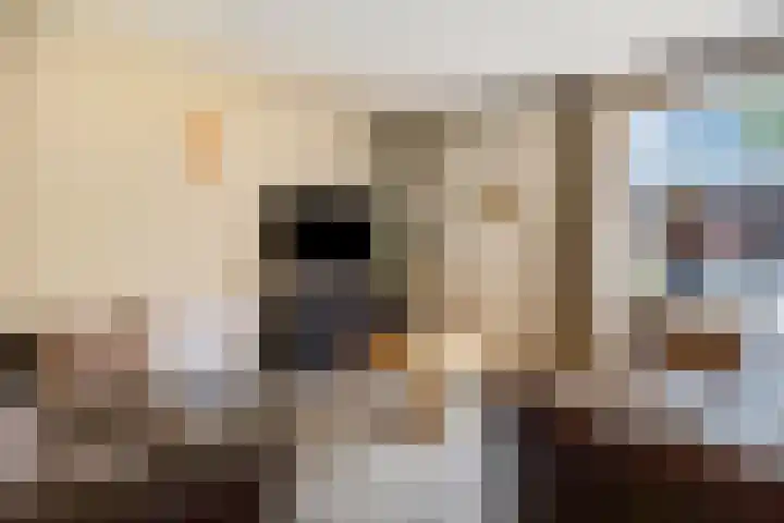 Schaapsweg 31 Ede thumbnail 7