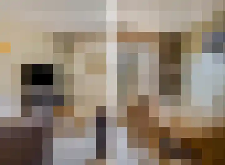Schaapsweg 31 Ede thumbnail 9