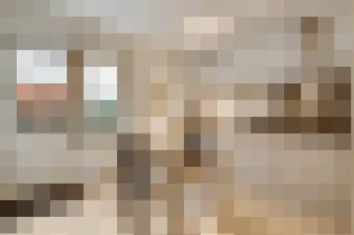 Schaapsweg 33 Sint Odiliënberg thumbnail 11
