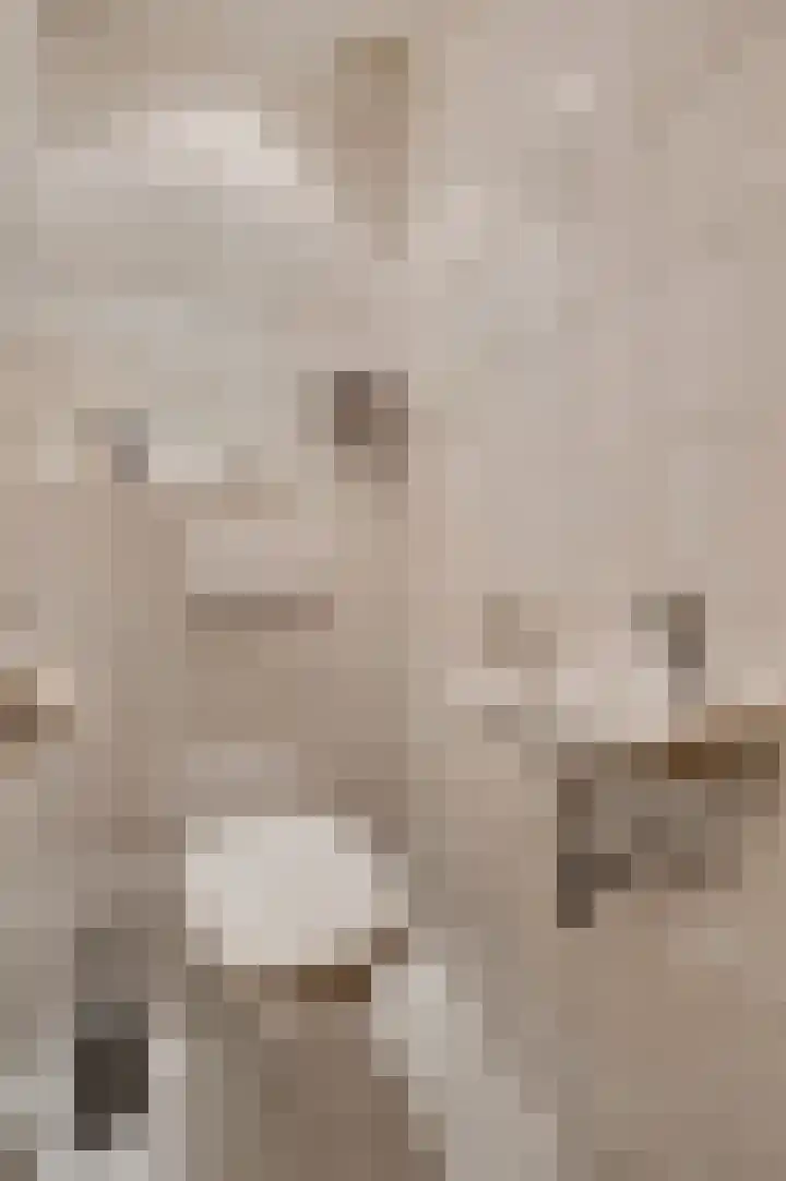 Schaapsweg 33 Sint Odiliënberg thumbnail 15