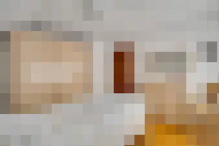 Schaapsweg 33 Sint Odiliënberg thumbnail 19