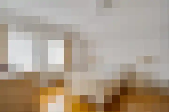 Schaapsweg 33 Sint Odiliënberg thumbnail 20