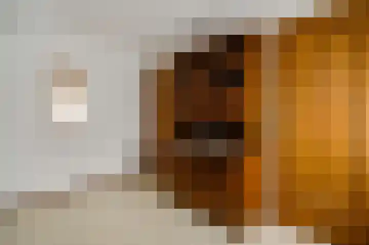 Schaapsweg 33 Sint Odiliënberg thumbnail 24