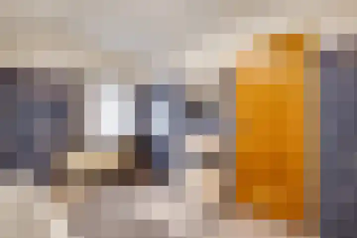 Schaapsweg 33 Sint Odiliënberg thumbnail 26