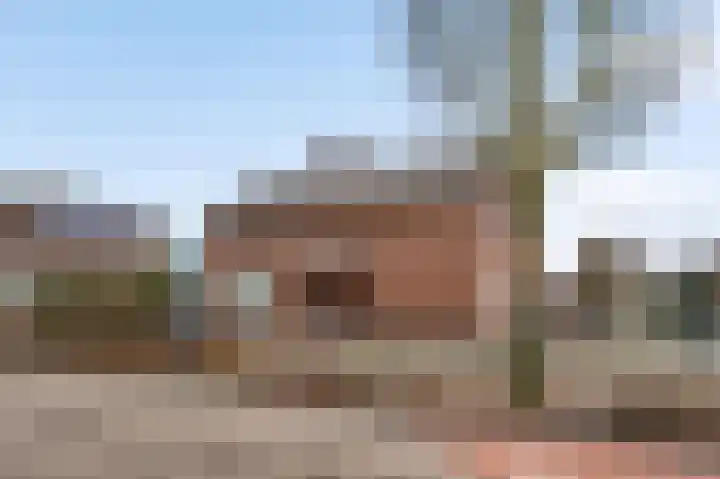 Schaapsweg 33 Sint Odiliënberg thumbnail 35