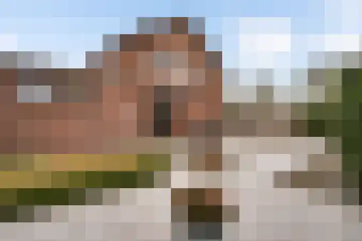 Schaapsweg 33 Sint Odiliënberg thumbnail 4