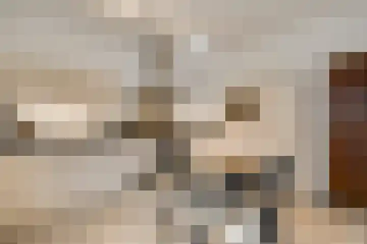 Schaapsweg 33 Sint Odiliënberg thumbnail 5