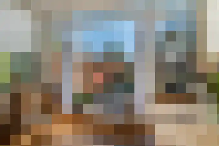 Schaapsweg 40 Ede thumbnail 10