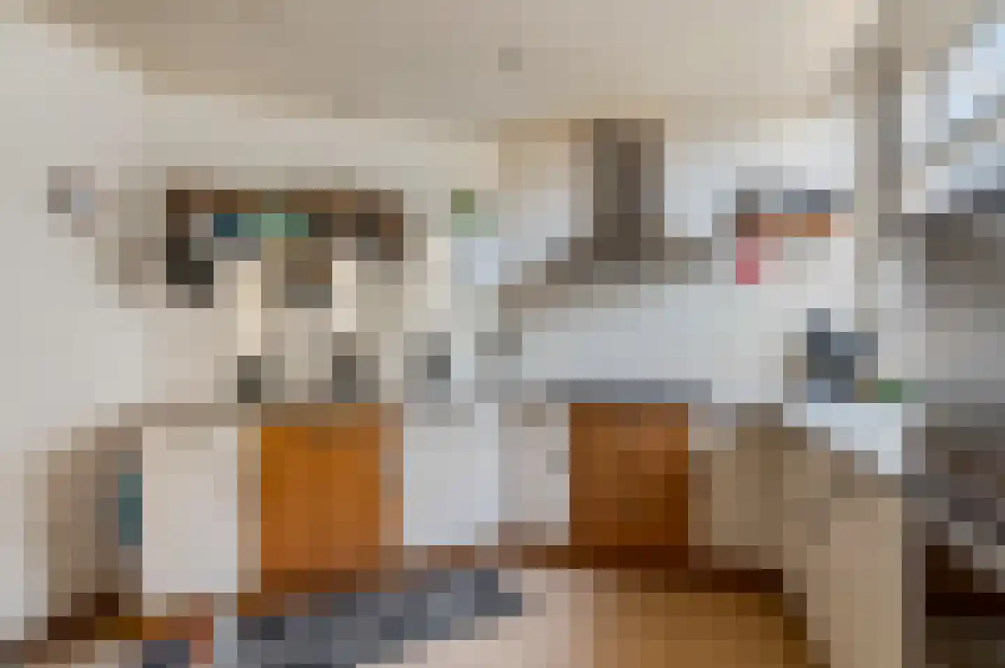 Schaapsweg 40 Ede thumbnail 10