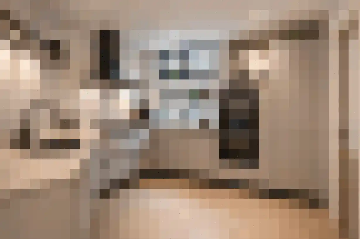 Schaapsweg 40 Ede thumbnail 11