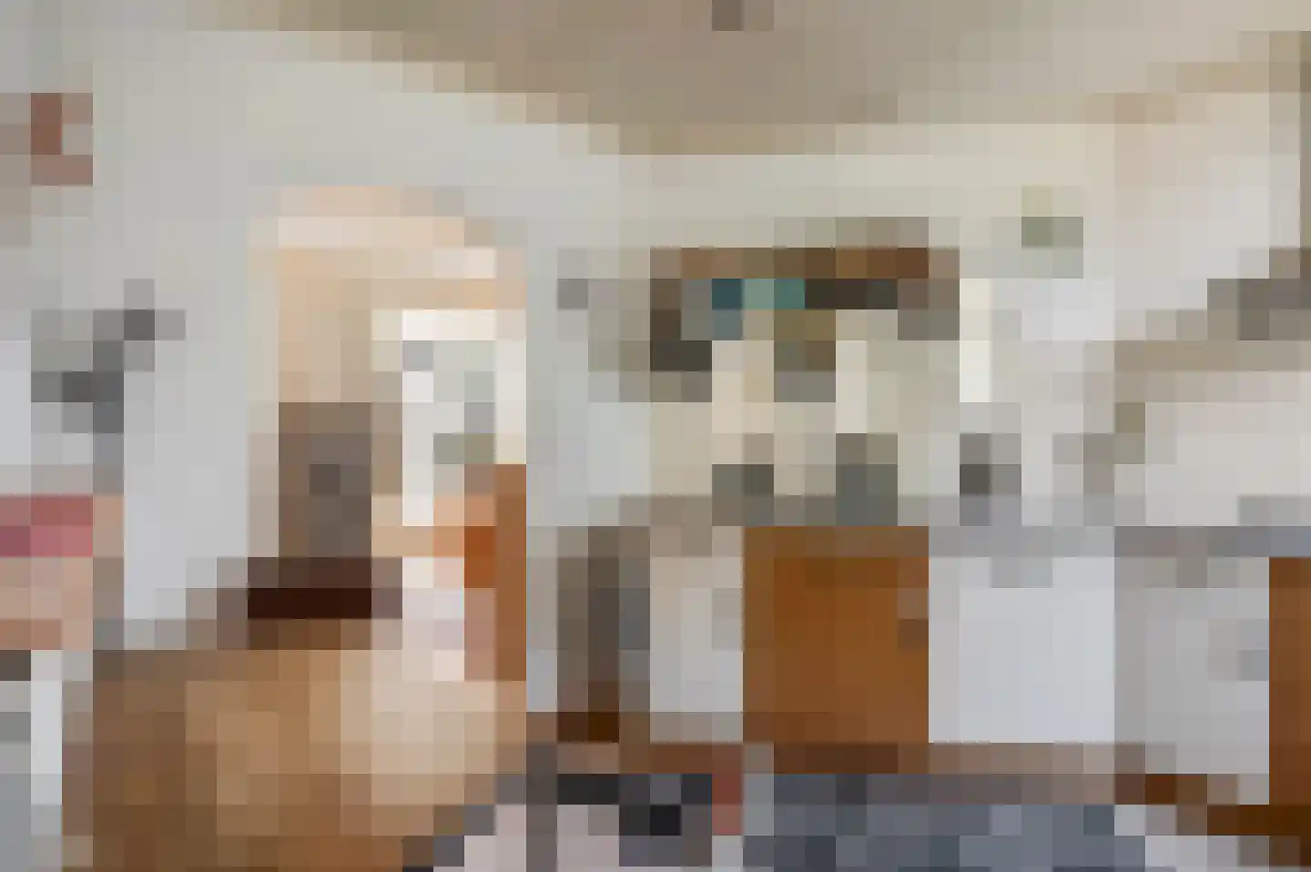 Schaapsweg 40 Ede thumbnail 12