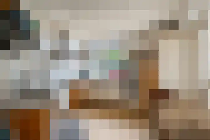 Schaapsweg 40 Ede thumbnail 12