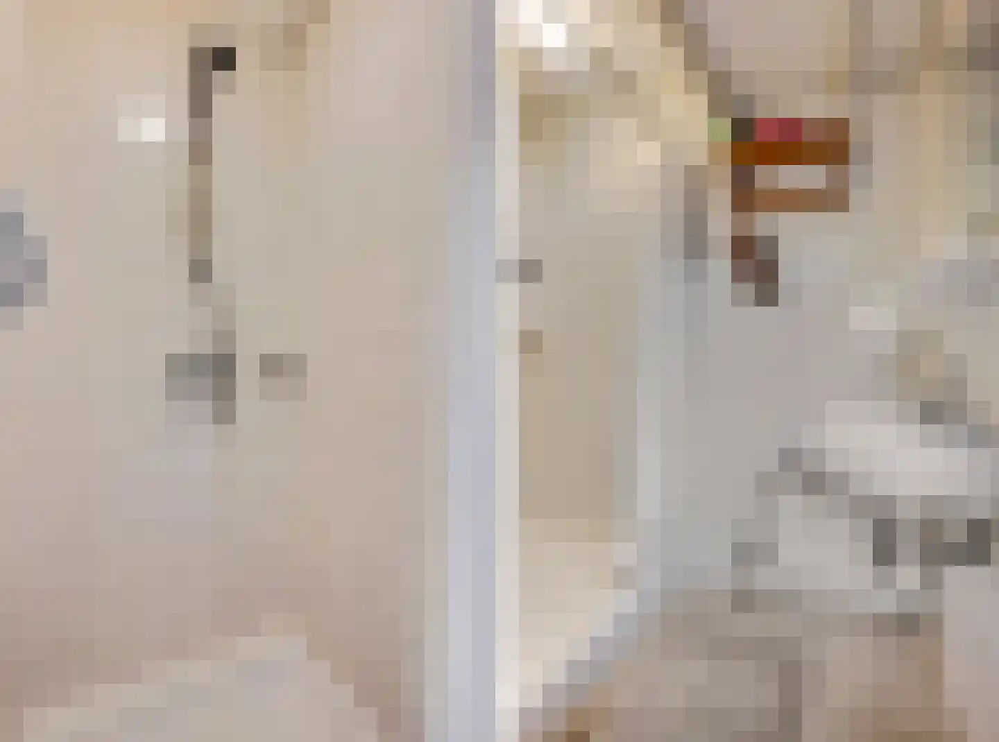 Schaapsweg 40 Ede thumbnail 14