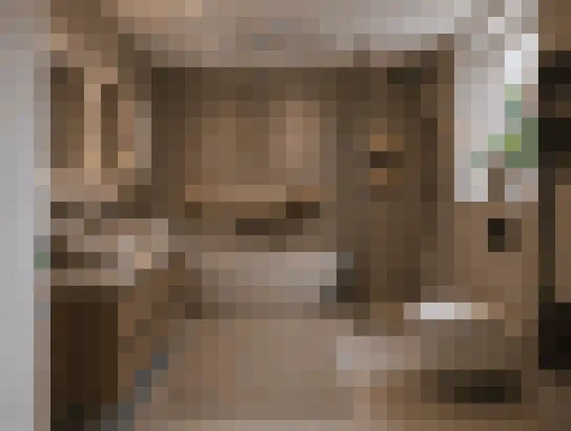Schaapsweg 40 Ede thumbnail 15