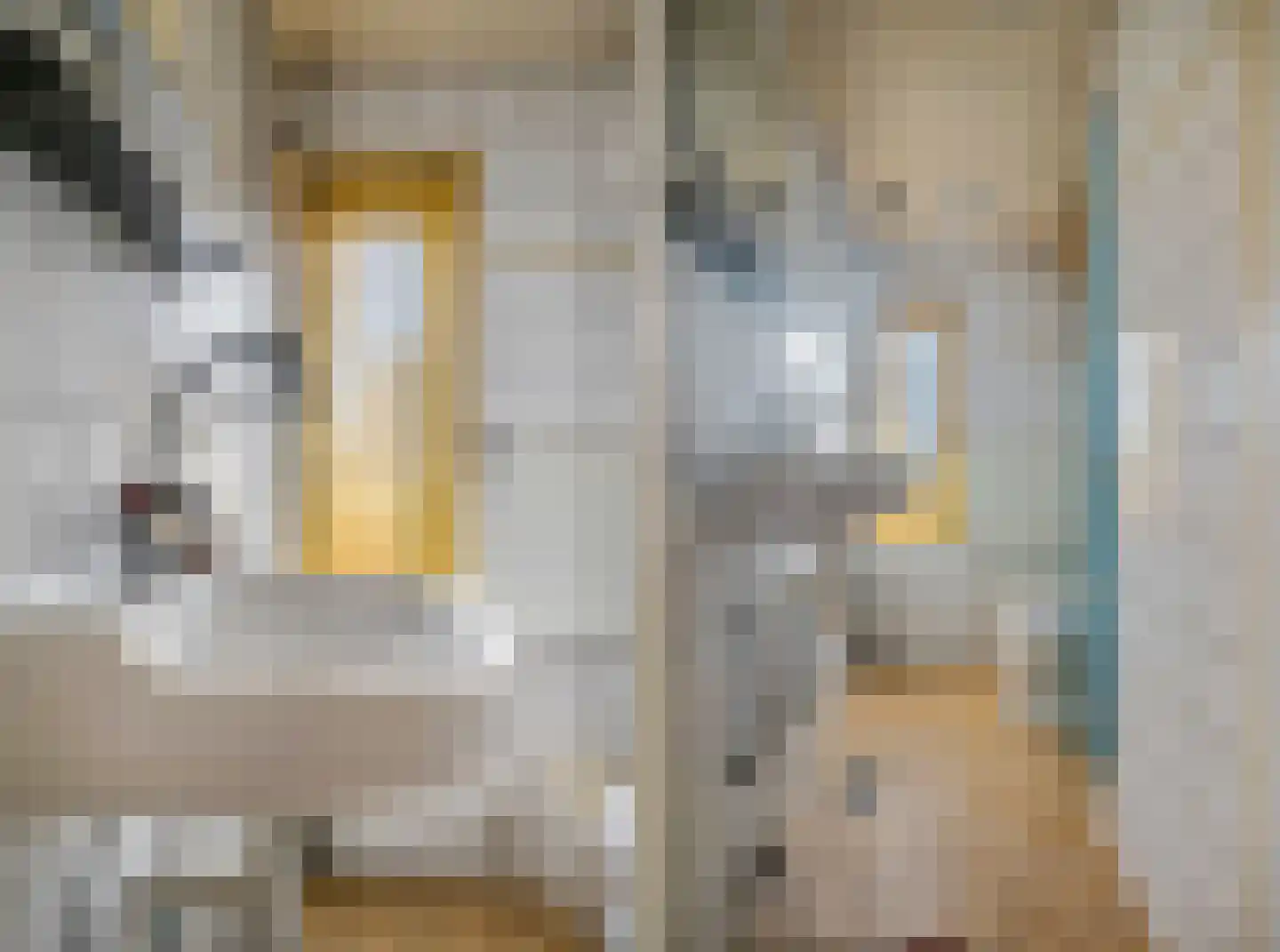 Schaapsweg 40 Ede thumbnail 16