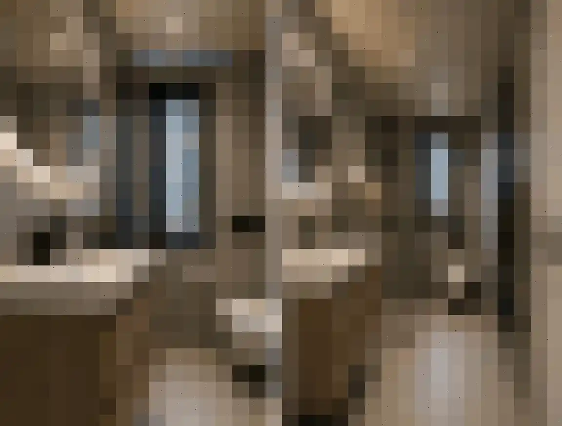 Schaapsweg 40 Ede thumbnail 17