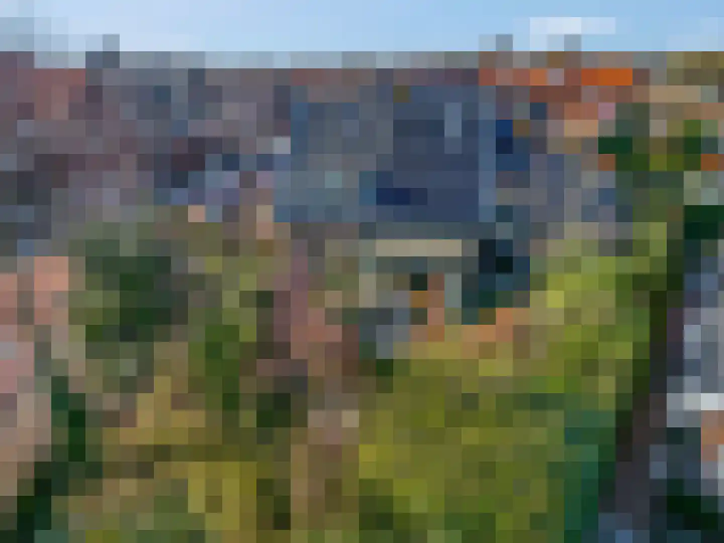Schaapsweg 40 Ede thumbnail 20