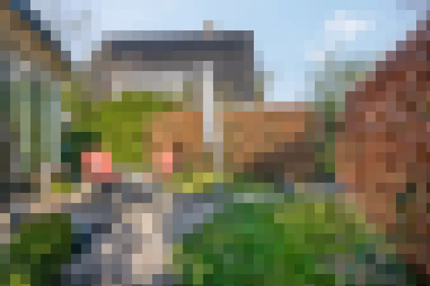 Schaapsweg 40 Ede thumbnail 21