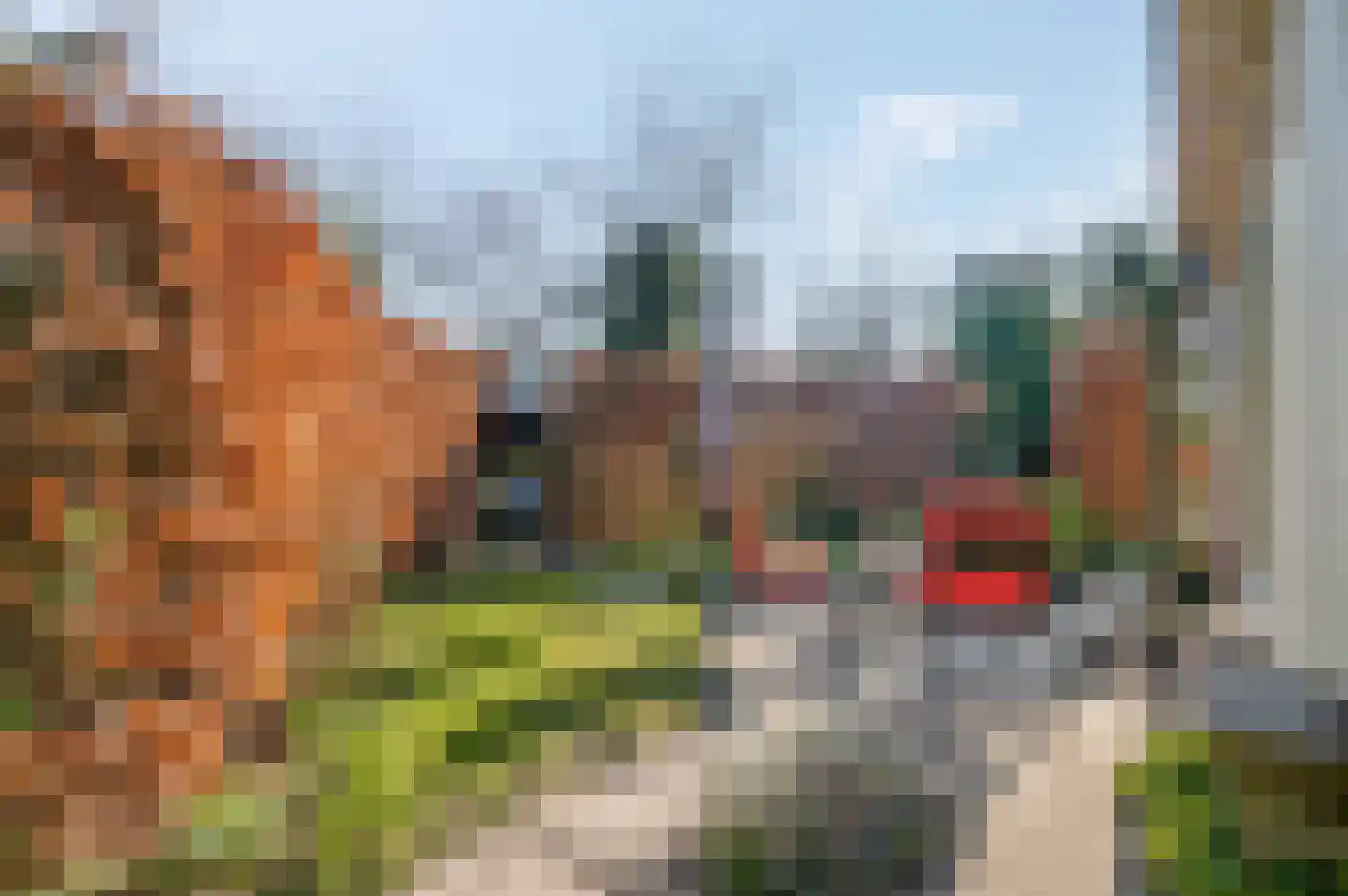 Schaapsweg 40 Ede thumbnail 22