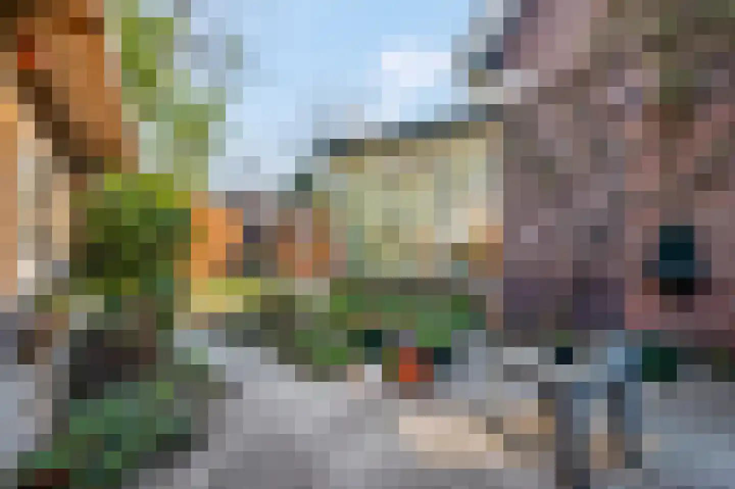 Schaapsweg 40 Ede thumbnail 24