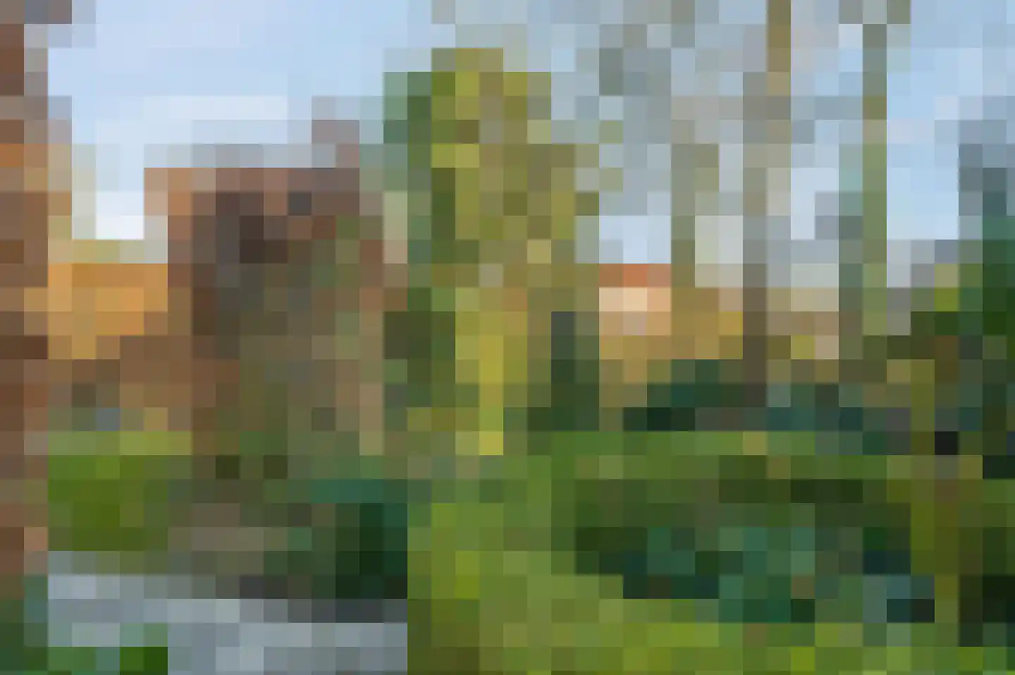 Schaapsweg 40 Ede thumbnail 27