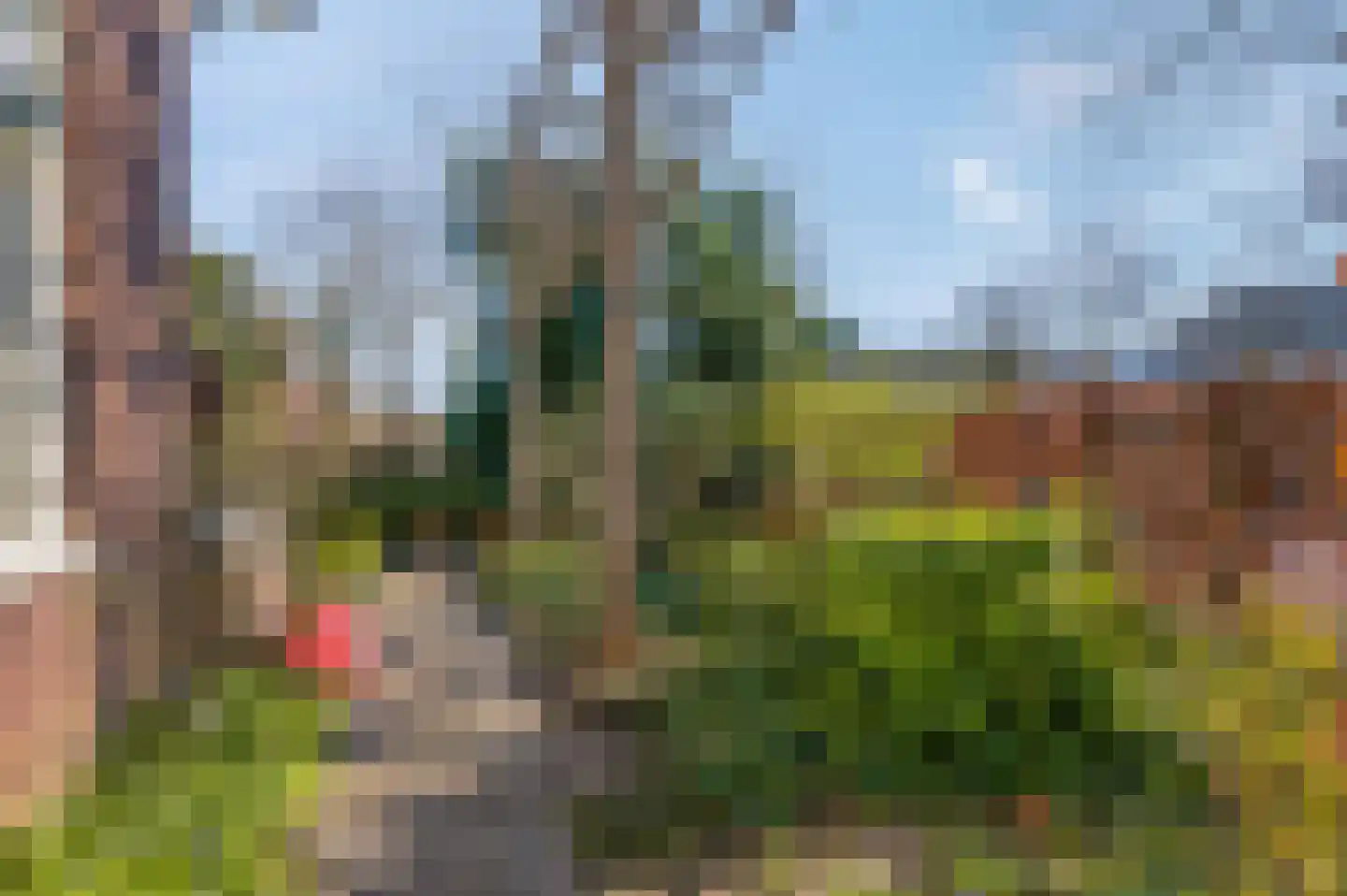 Schaapsweg 40 Ede thumbnail 28