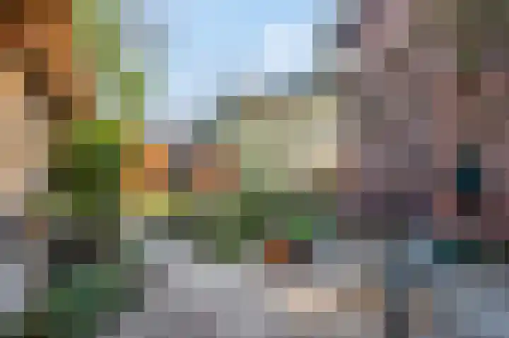 Schaapsweg 40 Ede thumbnail 29