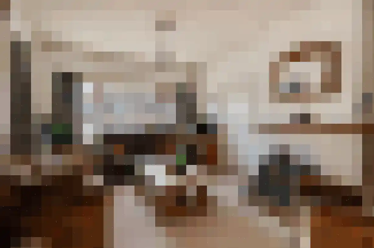 Schaapsweg 40 Ede foto 3
