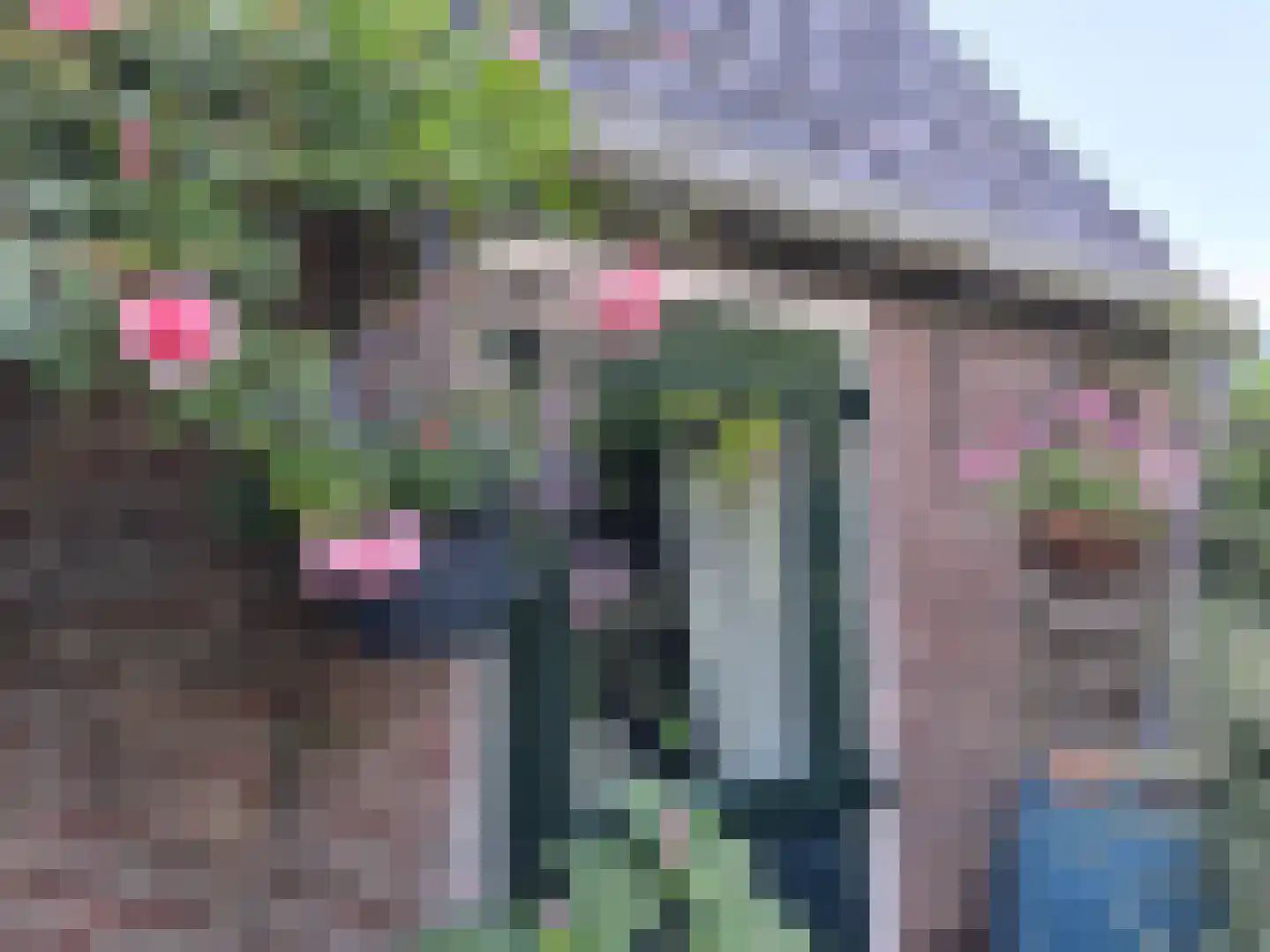 Schaapsweg 40 Ede thumbnail 33