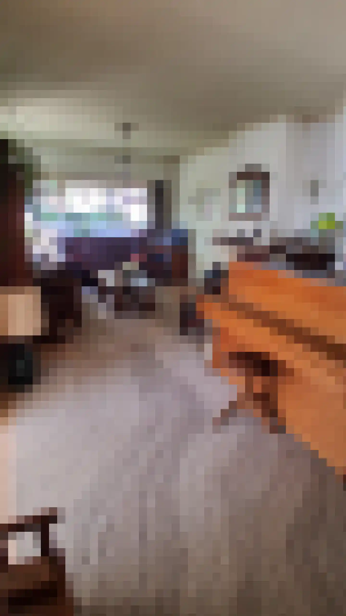 Schaapsweg 40 Ede thumbnail 36