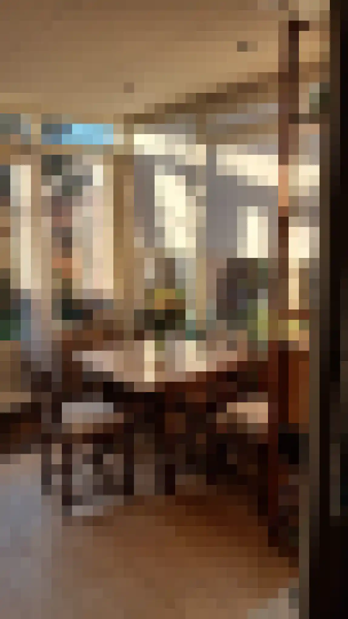 Schaapsweg 40 Ede thumbnail 37