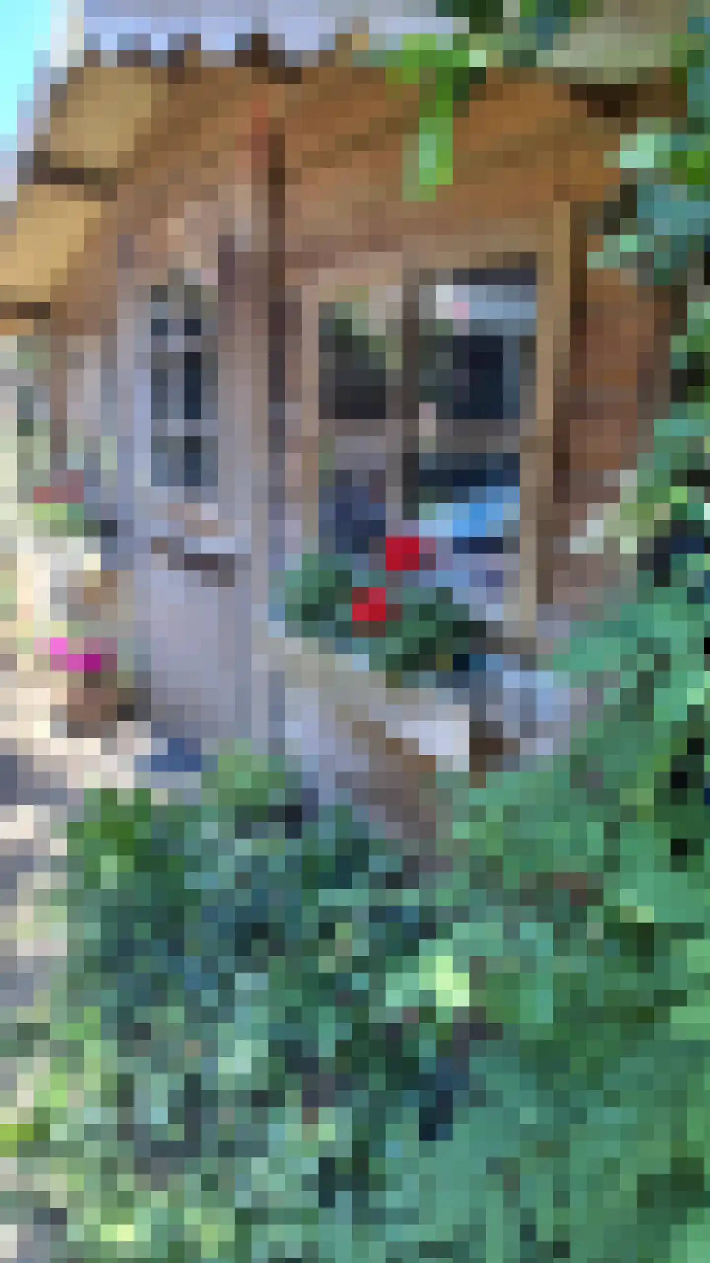 Schaapsweg 40 Ede thumbnail 41