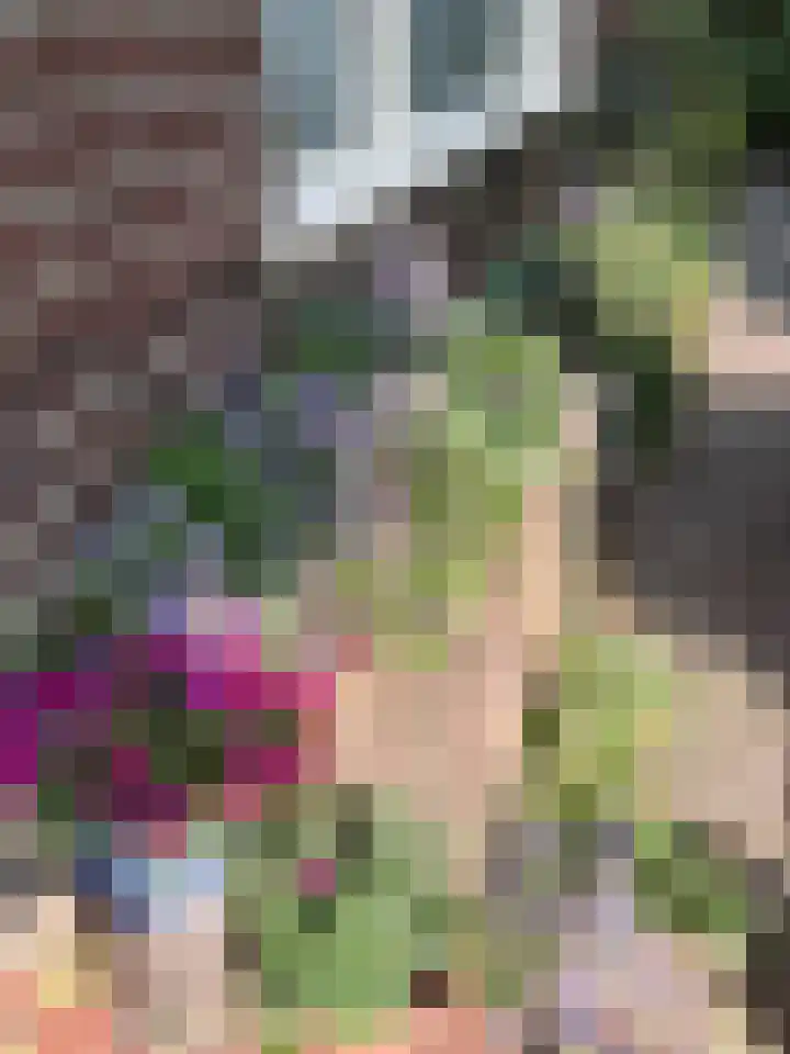 Schaapsweg 40 Ede thumbnail 43
