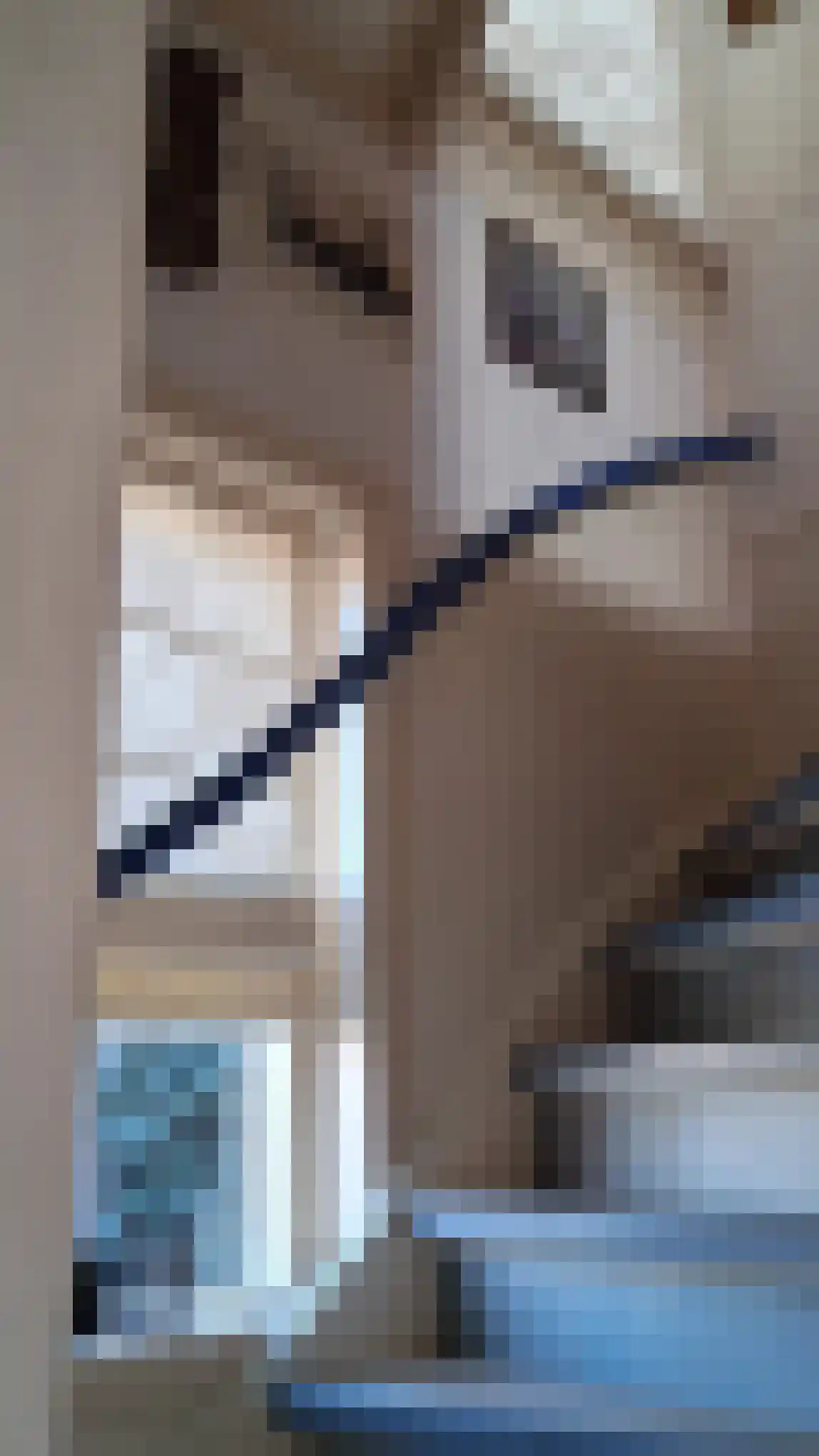 Schaapsweg 40 Ede thumbnail 46