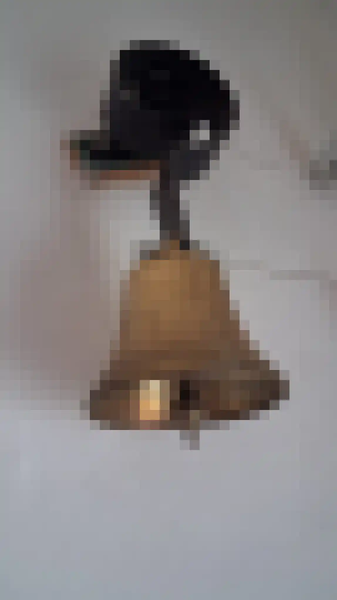 Schaapsweg 40 Ede thumbnail 47