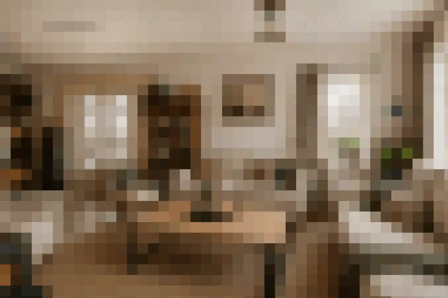 Schaapsweg 40 Ede thumbnail 6