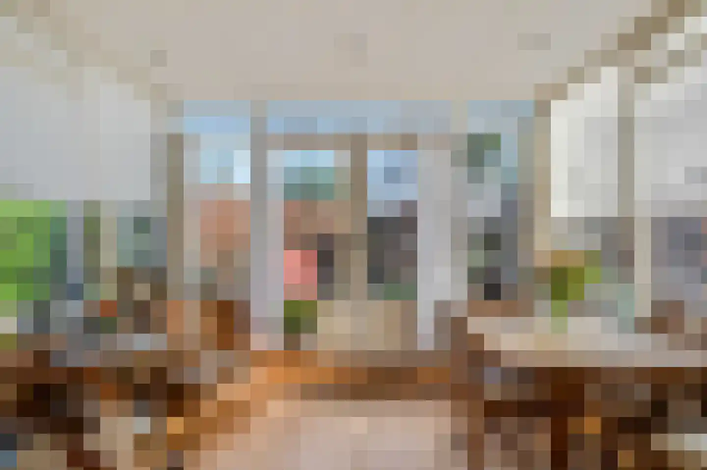 Schaapsweg 40 Ede thumbnail 7