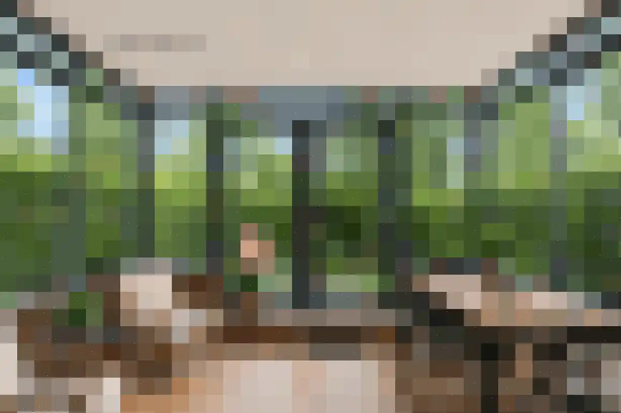 Schaapsweg 40 Ede thumbnail 8
