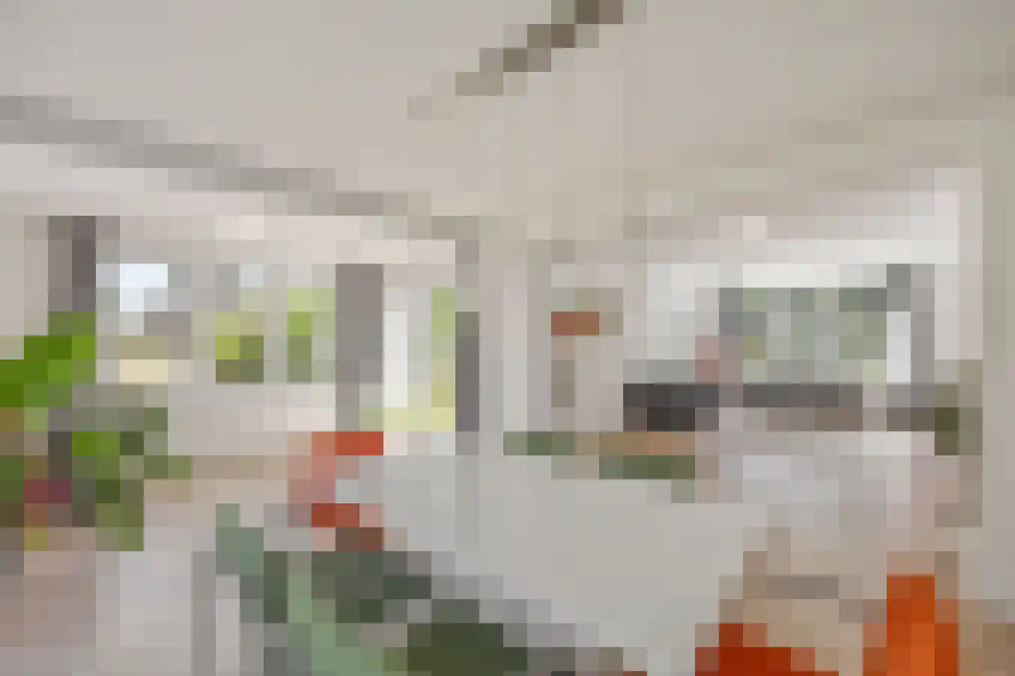 Schaapsweg 45 Sint Odiliënberg thumbnail 13