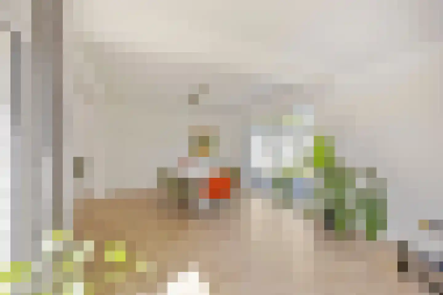Schaapsweg 45 Sint Odiliënberg thumbnail 15
