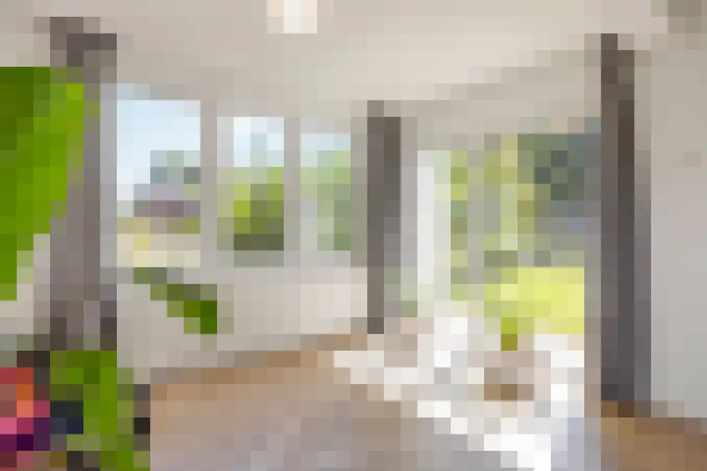 Schaapsweg 45 Sint Odiliënberg thumbnail 17
