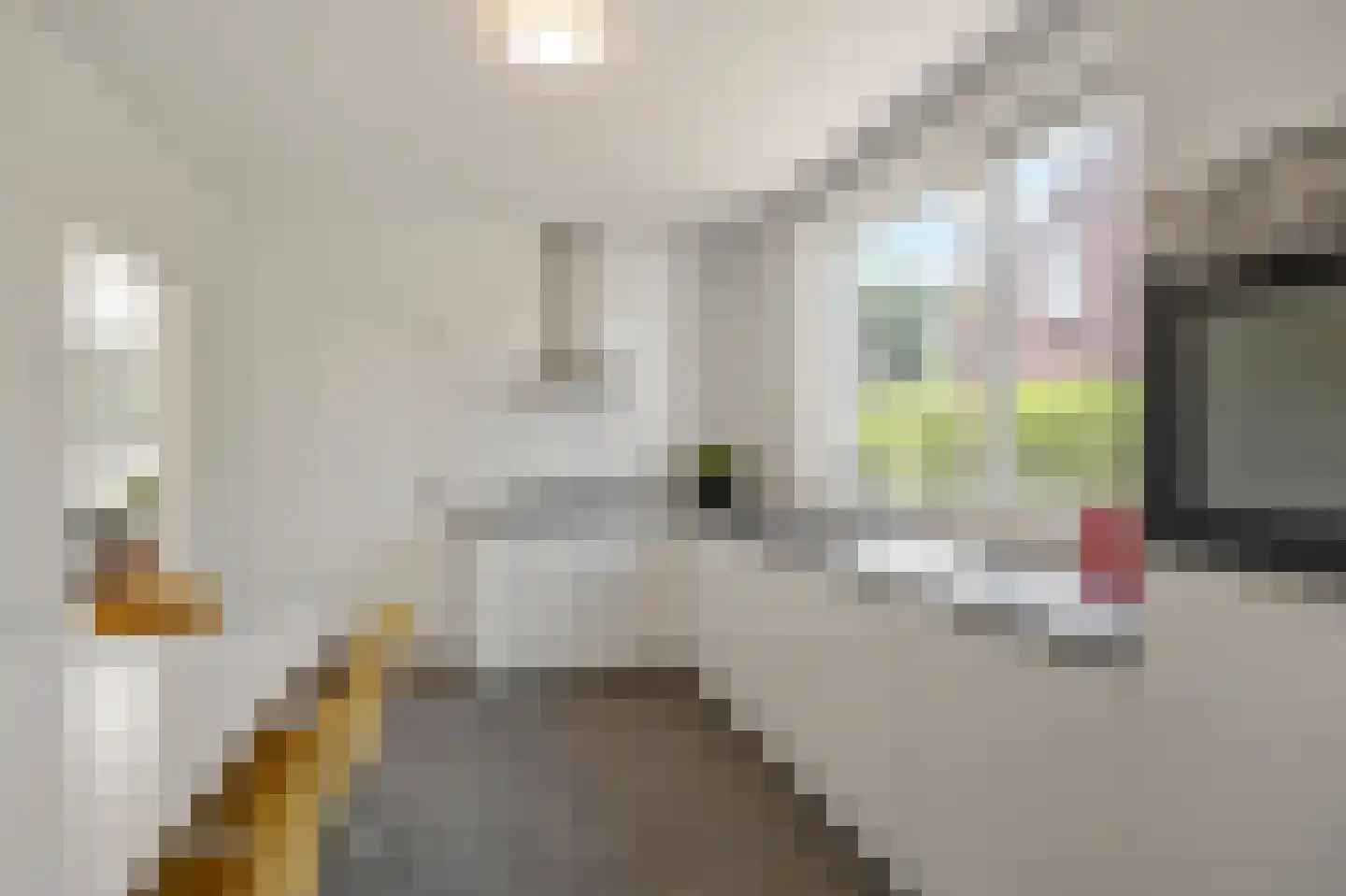 Schaapsweg 45 Sint Odiliënberg thumbnail 20