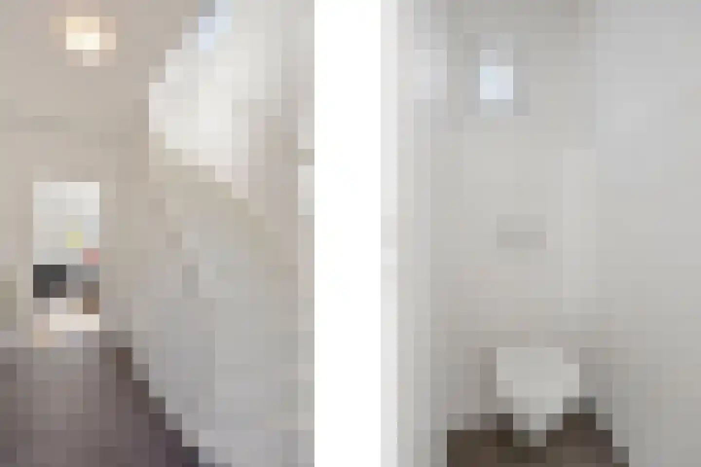 Schaapsweg 45 Sint Odiliënberg thumbnail 22