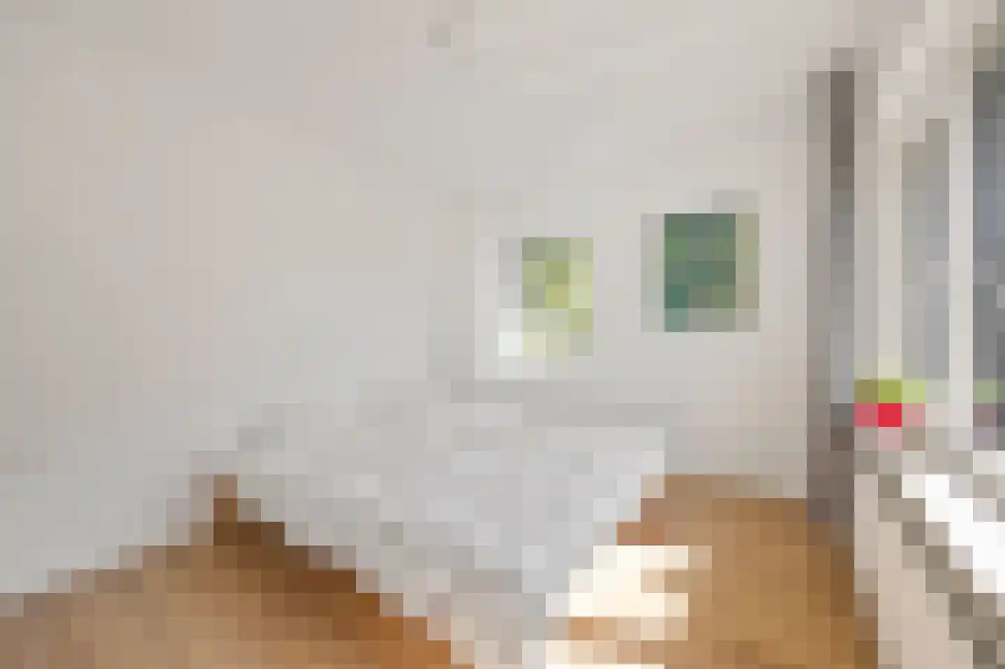 Schaapsweg 45 Sint Odiliënberg thumbnail 24