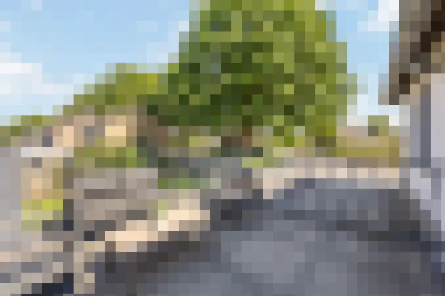 Schaapsweg 45 Sint Odiliënberg thumbnail 34