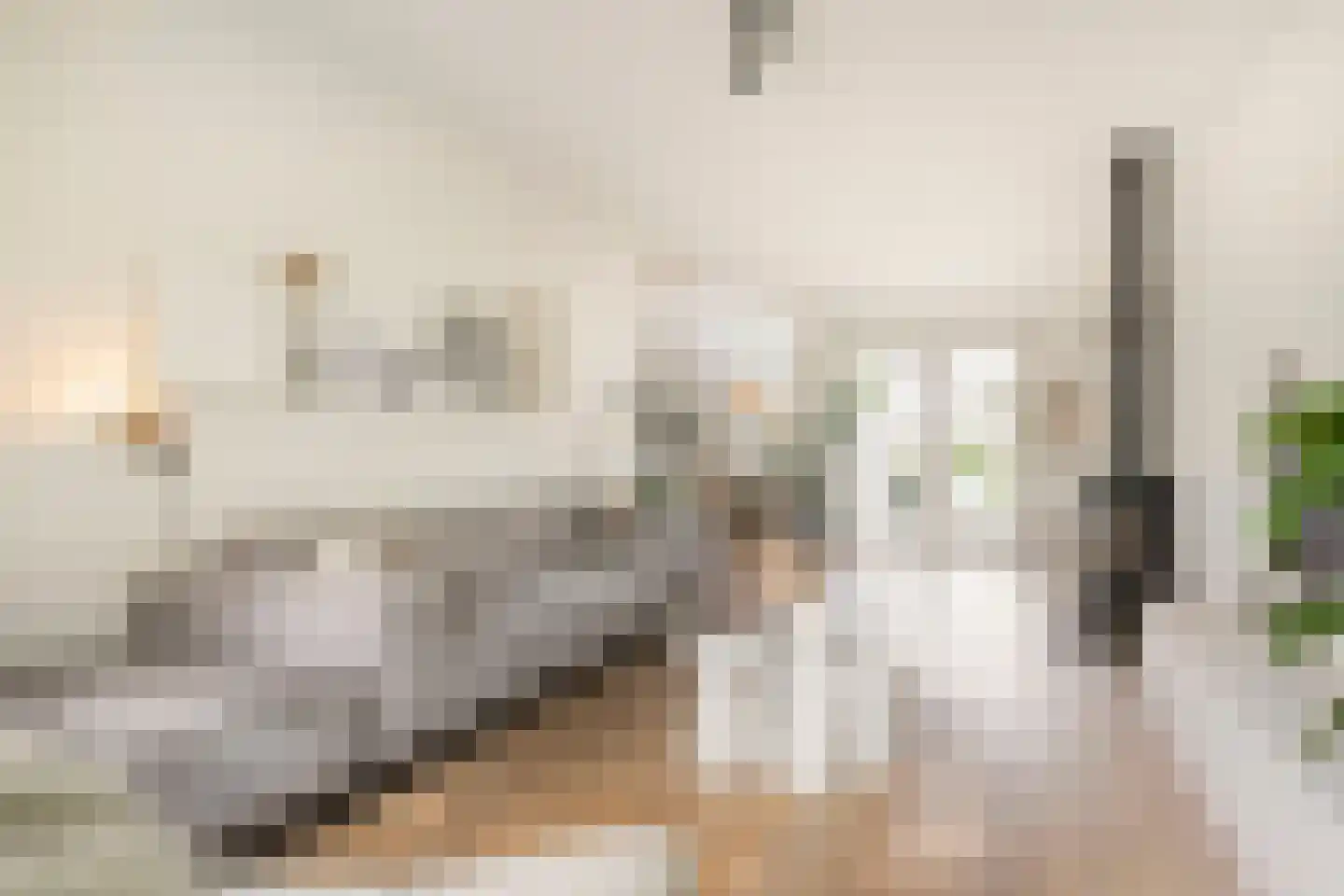 Schaapsweg 46 A Ede thumbnail 10
