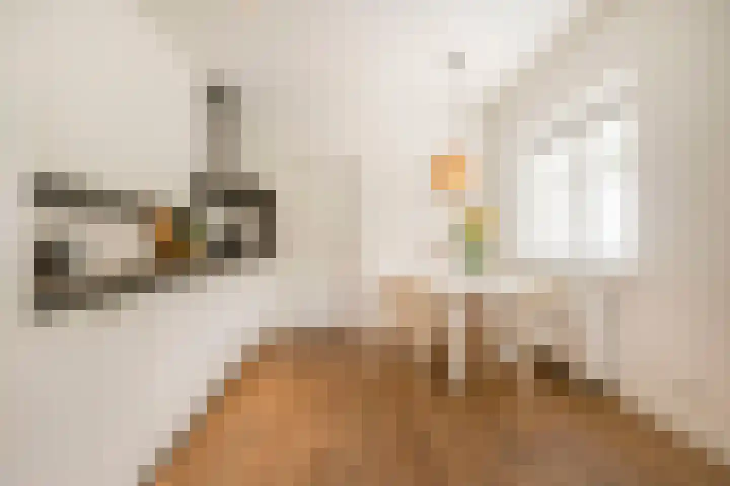 Schaapsweg 46 A Ede thumbnail 13